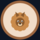 Pomeranian in CFCC (Dawg Points)