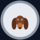 Dachshund in CFCC (Dawg Points)